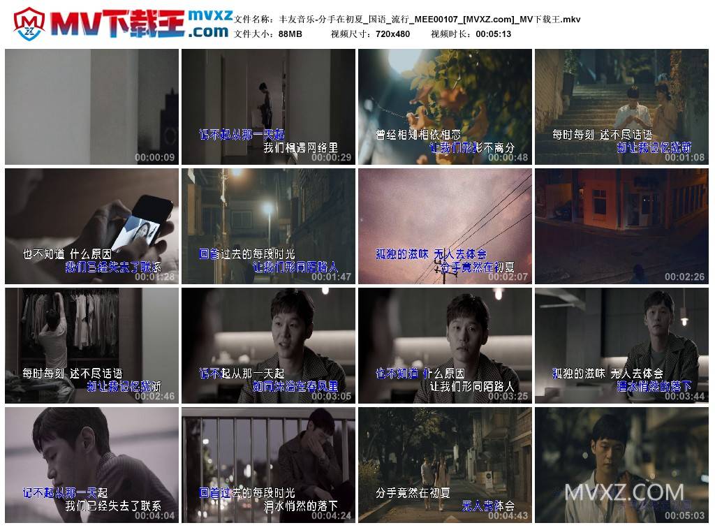 丰友音乐-分手在初夏_国语_流行_MEE00107